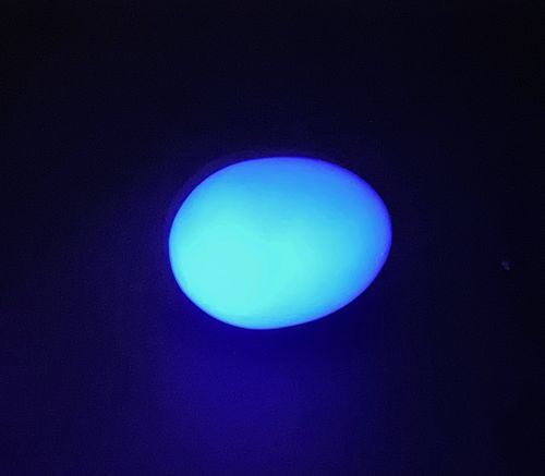 Blaues Vollkunststoff-Köderei UV-fluoreszierend